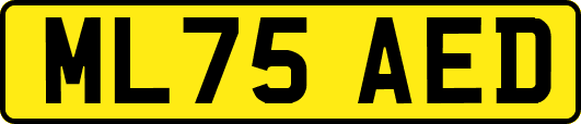 ML75AED