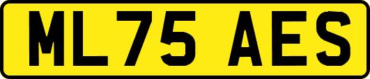 ML75AES