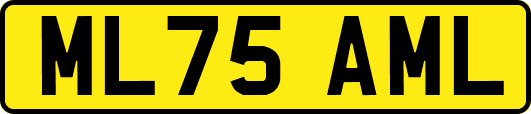 ML75AML