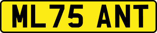 ML75ANT