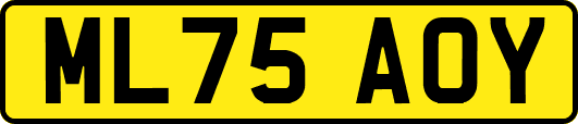 ML75AOY