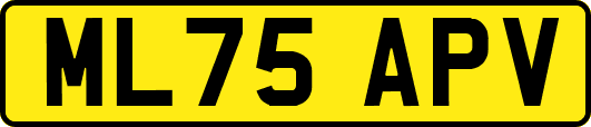 ML75APV