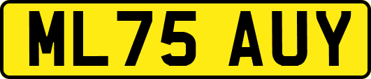 ML75AUY