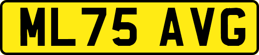 ML75AVG