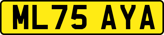 ML75AYA