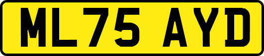 ML75AYD
