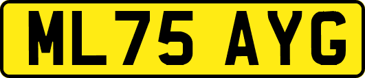 ML75AYG