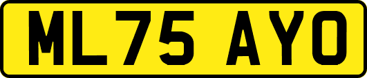 ML75AYO