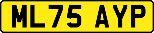 ML75AYP