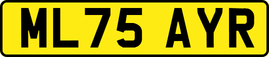 ML75AYR