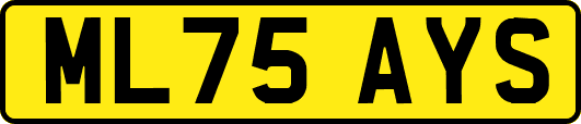 ML75AYS