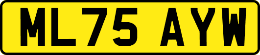 ML75AYW