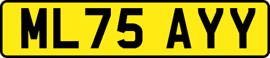 ML75AYY