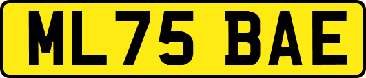 ML75BAE