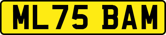 ML75BAM