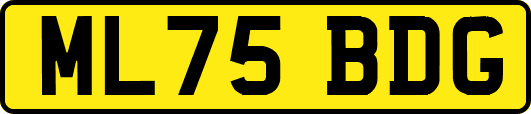 ML75BDG