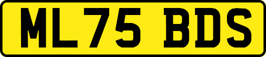 ML75BDS