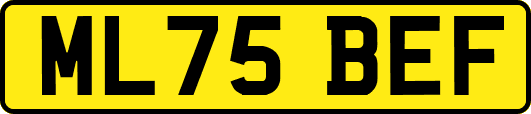 ML75BEF