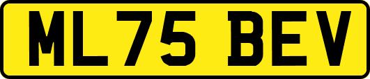 ML75BEV
