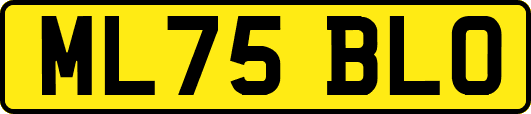 ML75BLO