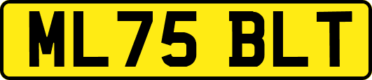 ML75BLT
