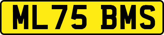 ML75BMS