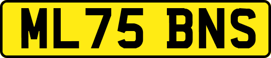 ML75BNS