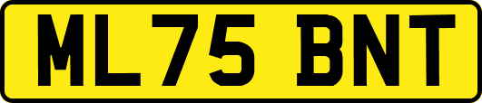 ML75BNT