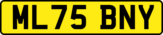 ML75BNY