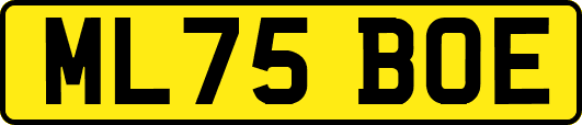 ML75BOE
