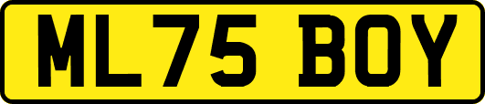 ML75BOY