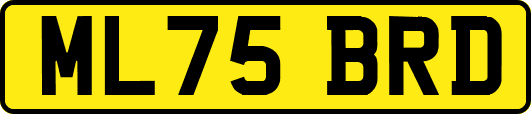 ML75BRD
