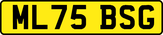 ML75BSG