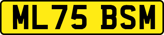 ML75BSM