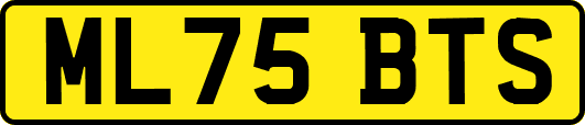 ML75BTS