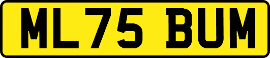 ML75BUM