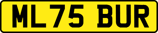 ML75BUR
