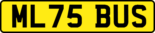 ML75BUS