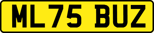 ML75BUZ