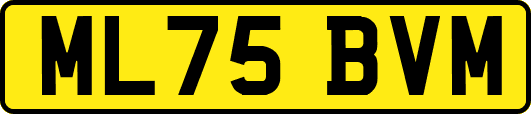 ML75BVM