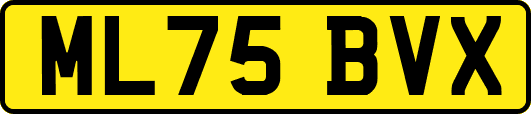 ML75BVX