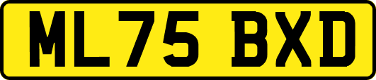 ML75BXD