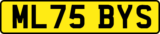 ML75BYS