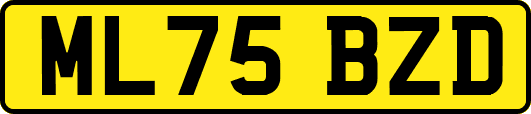 ML75BZD