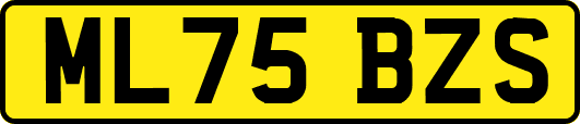 ML75BZS