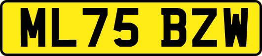 ML75BZW
