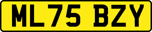 ML75BZY