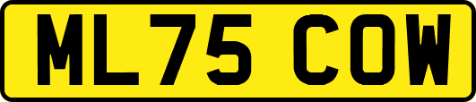 ML75COW