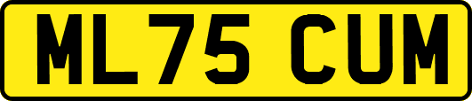 ML75CUM
