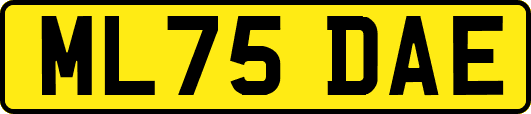 ML75DAE